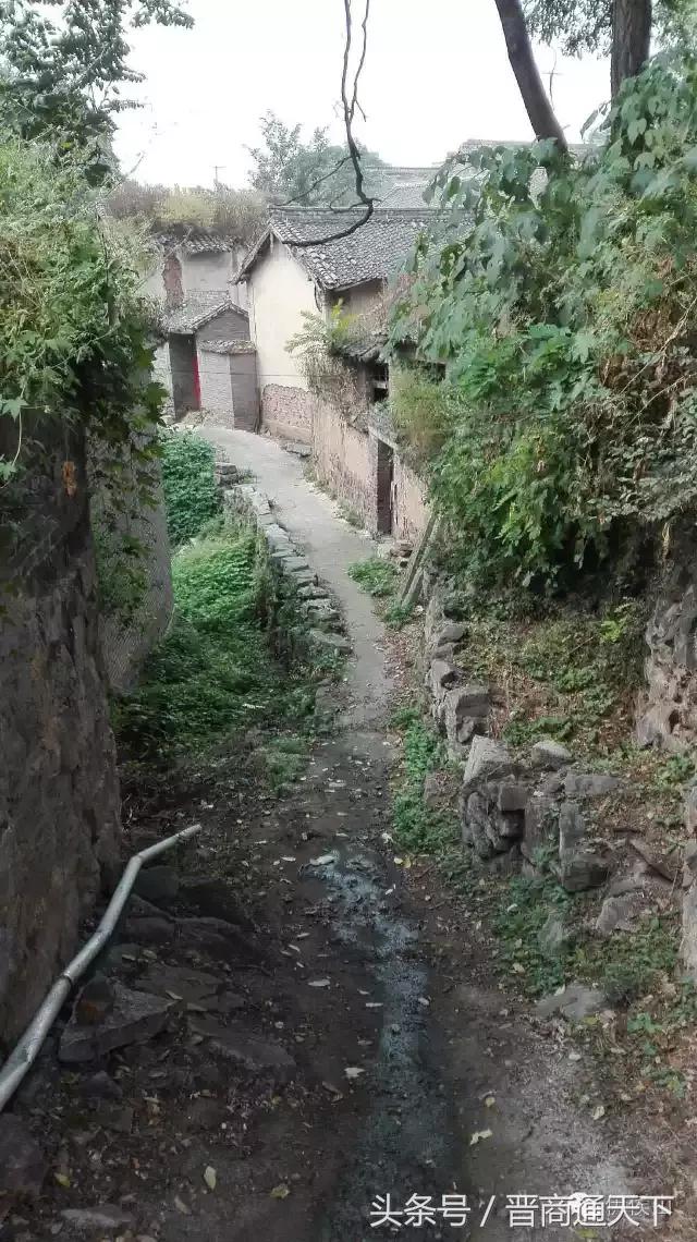 钟灵秀小说,钟灵秀视频