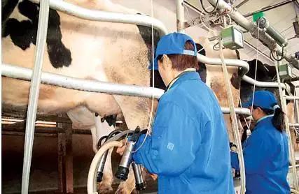 南京的卫岗,南京市卫岗历史