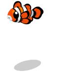 变性、伪装、雌雄同体--谁是微距世界的奇葩?