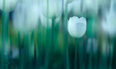 给摄影爱好者的十二条摄影经验,看完这组摄影作品你还淡定吗