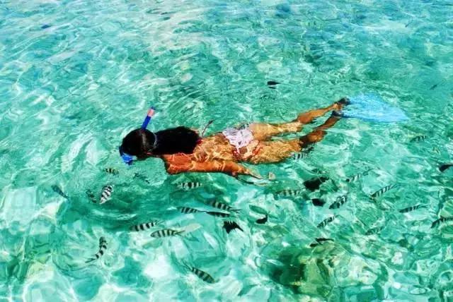 免签落地签旅游签的区别,菲律宾电子签证新政策免签