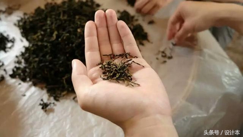茶叶怎么做枕头芯,喝过的茶叶做成枕头有什么好处