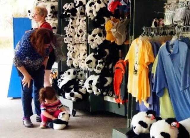 为求得一只熊猫的抚养权，英美荷法等国家连尊严都不要了