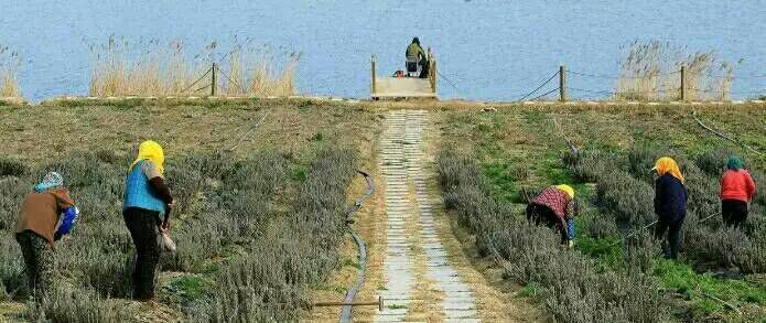 看完这些摄影作品点评，你的摄影技能会有大幅提升