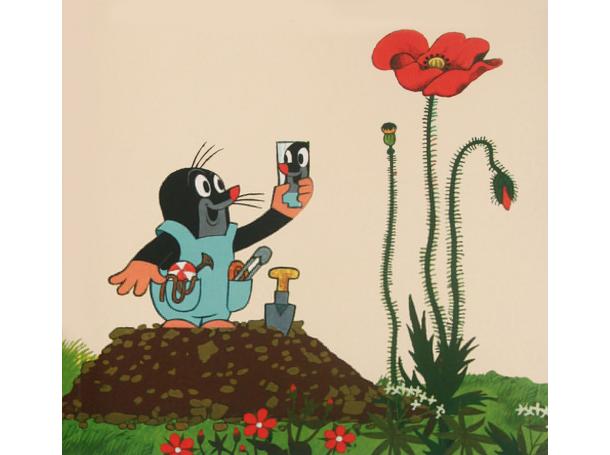 8090后的100部动画片,8090后看过的美食动画片