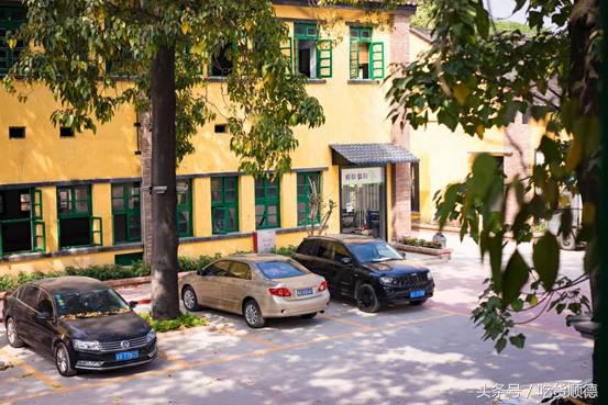 伦教这间店吃草、吃虫，竟然掠来了一波食客粉丝？