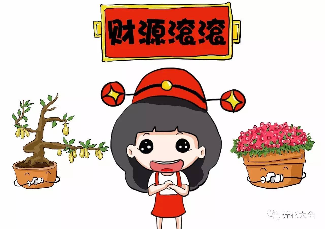 过年观赏花的盆栽,观果花卉盆栽大全