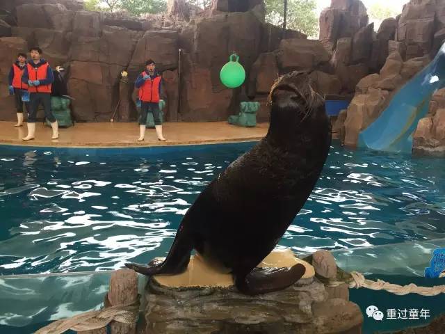 常州恐龙园省钱攻略,常州恐龙园恐龙穿越侏罗纪