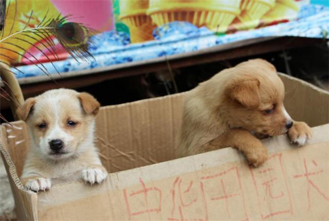 越野世家安徽,满城龙居冰瀑自驾游