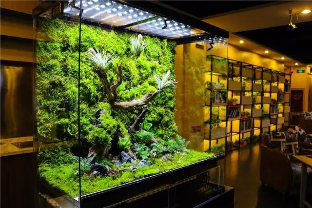 40寸曲面屏+全场乔氏台球桌，这恐怕是我在天津见过最牛的网咖