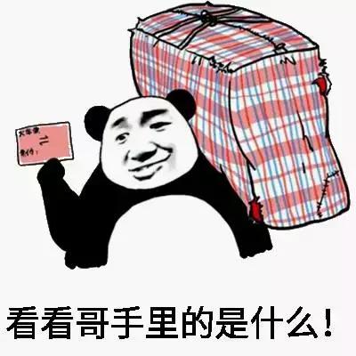 令老外震惊的中国春运,外国人眼里中国春运到底有多震撼