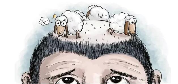 头发掉吃什么维生素,头发爱出油爱掉发能吃七宝美髯丹