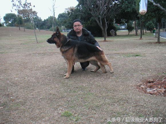 狗狗正确的洗澡步骤,附上爱犬照片