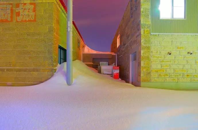 微观茶市丨古茶树安装GPS定位意义何在？