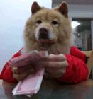 过年有哪些抢红包小技巧,春节抢红包的最佳方法