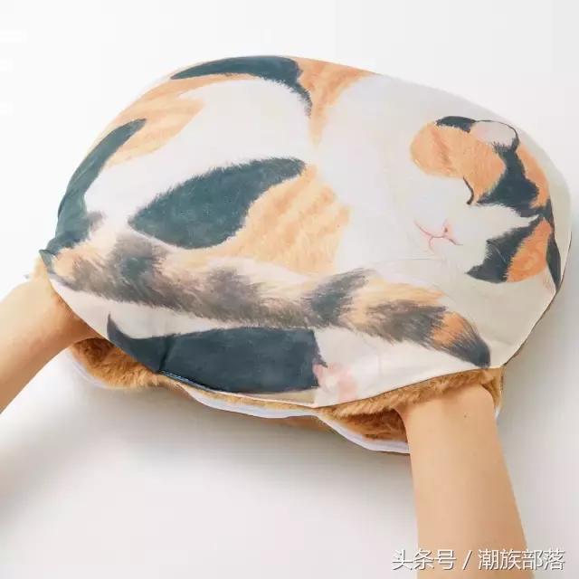猫控营养补充剂,猫控