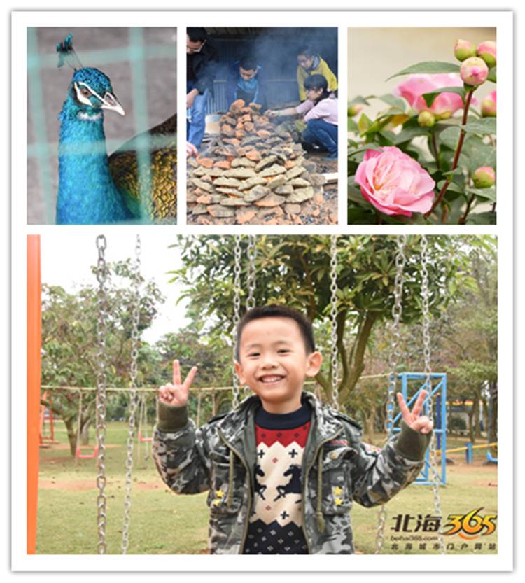 元旦北海好玩的地方,春节去北海还是去西双版纳好玩