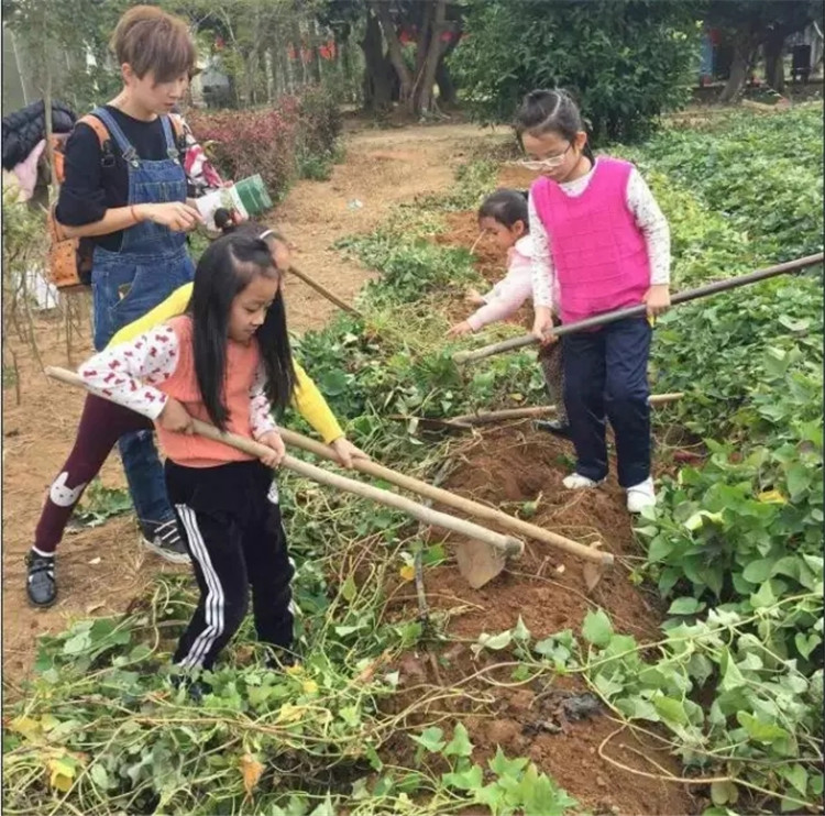 元旦北海好玩的地方,春节去北海还是去西双版纳好玩