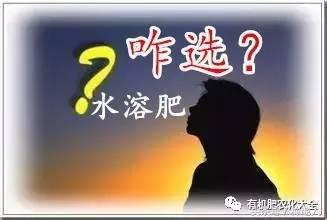 水溶肥在苹果树施用时间表,水溶肥什么时候施用效果好