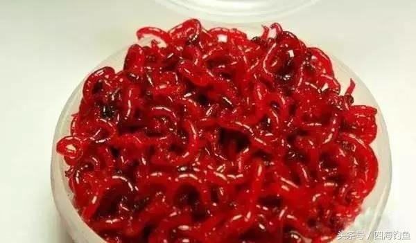 长竿短线传统钓饵料,传统钓法用什么饵