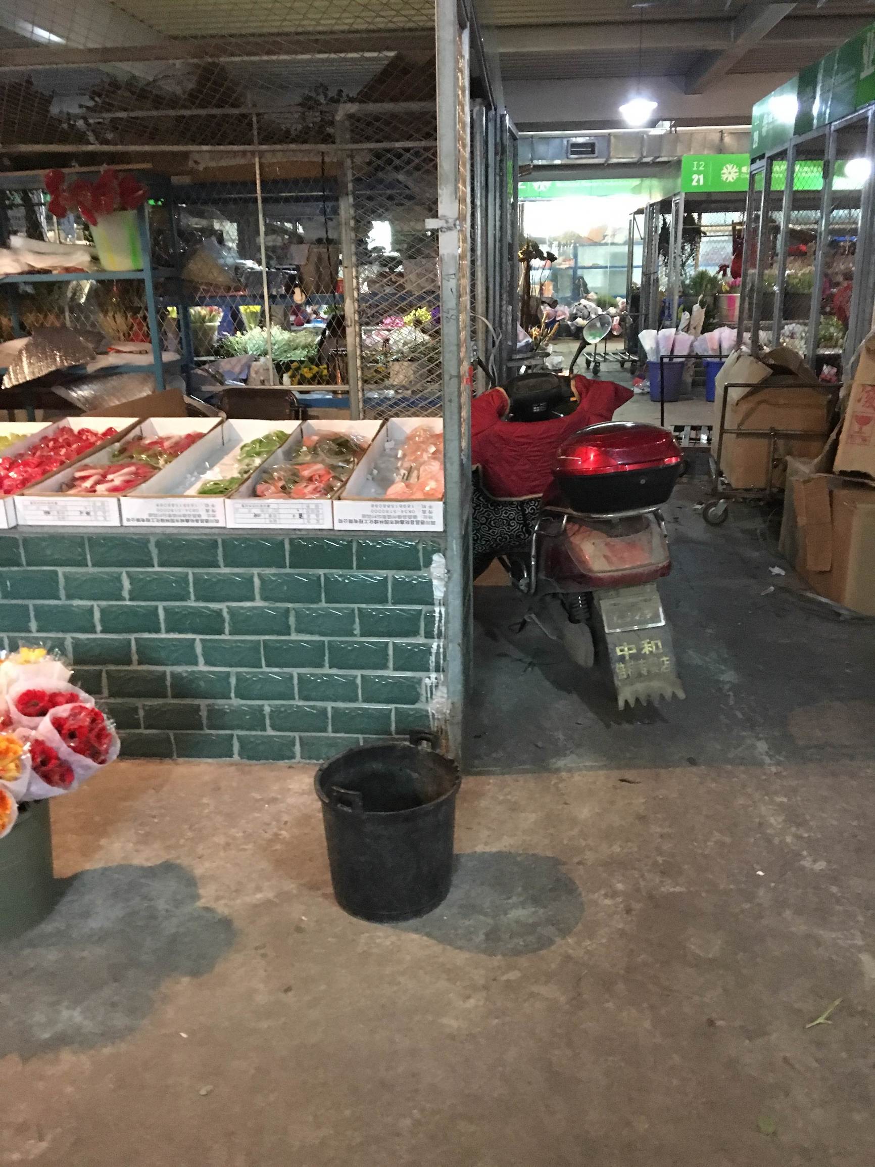 年宵花市探“鲜”记（一）之孤独的花大姐