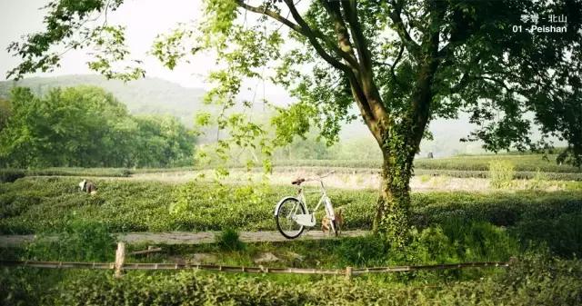 胡八一进入古城,胡八一探索美式情怀