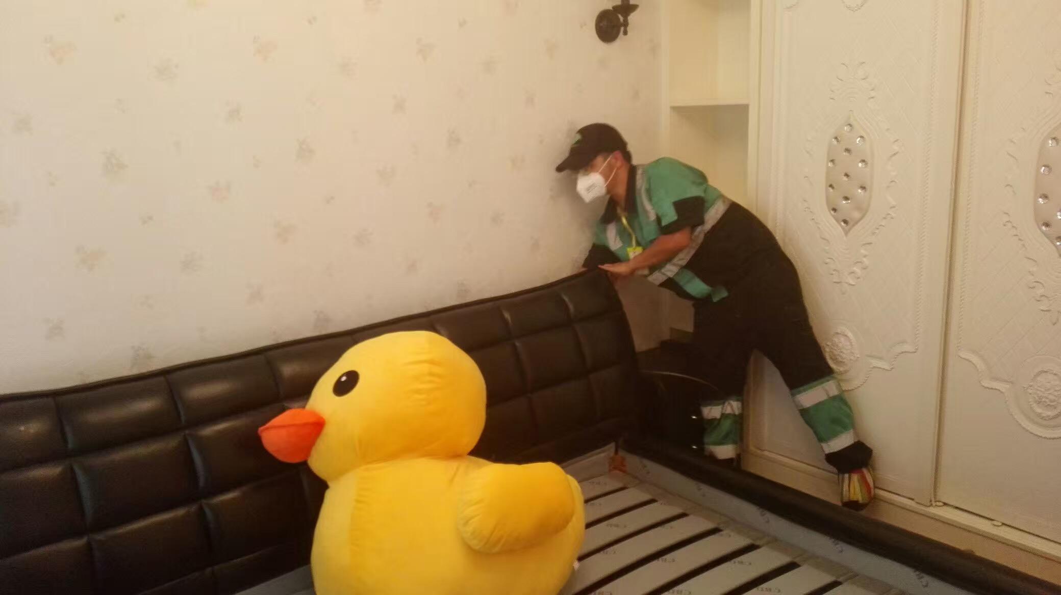 屋里烟味太重什么东西能除味,屋里烟味大怎么快速处理