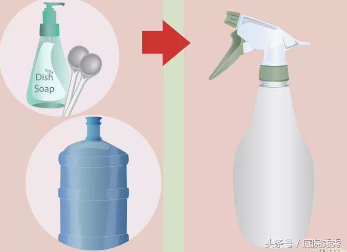 家庭园艺常用杀虫剂,固体杀虫剂使用方法养花