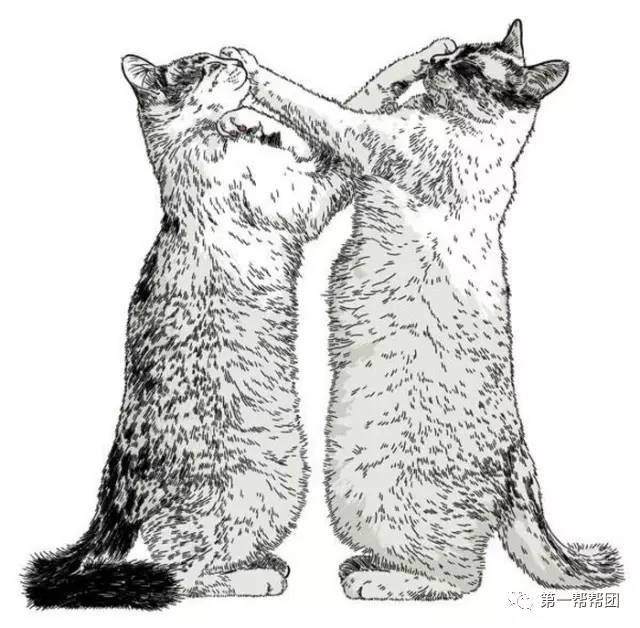 学生之间打闹骨折怎么报警,学生在寝室和同学打闹骨折