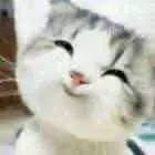 第五届“温暖之翼爱心在飞”首航抵兴｜60名安龙籍外出务工人员回家啦~