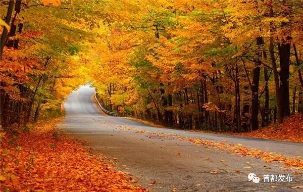 见义勇为的英雄故事简短事迹,历史上见义勇为故事