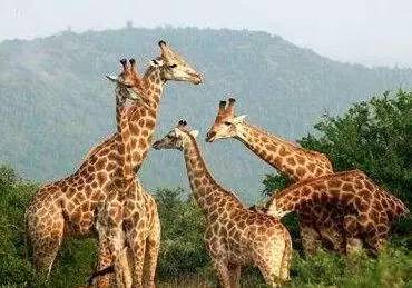 「旅游报」陆客大减台湾旅游业惨淡：酒店倒闭旅行社关门