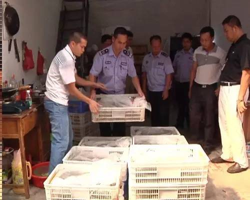 农村无证收购玉米违法吗,收购玉米非法经营罪案例