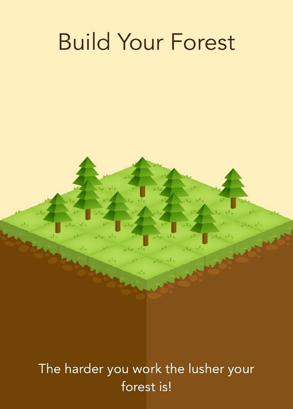 璞嗙摚鏃ヨ澶у叏,璞嗙摚鏃ヨ妞嶇墿