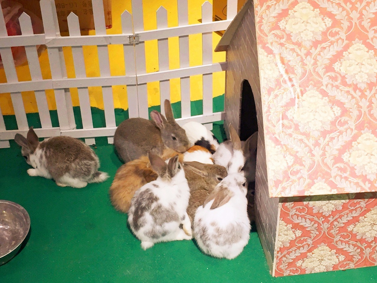 苏州金鹰国际购物中心高新店建设,苏州金鹰现在开门了吗