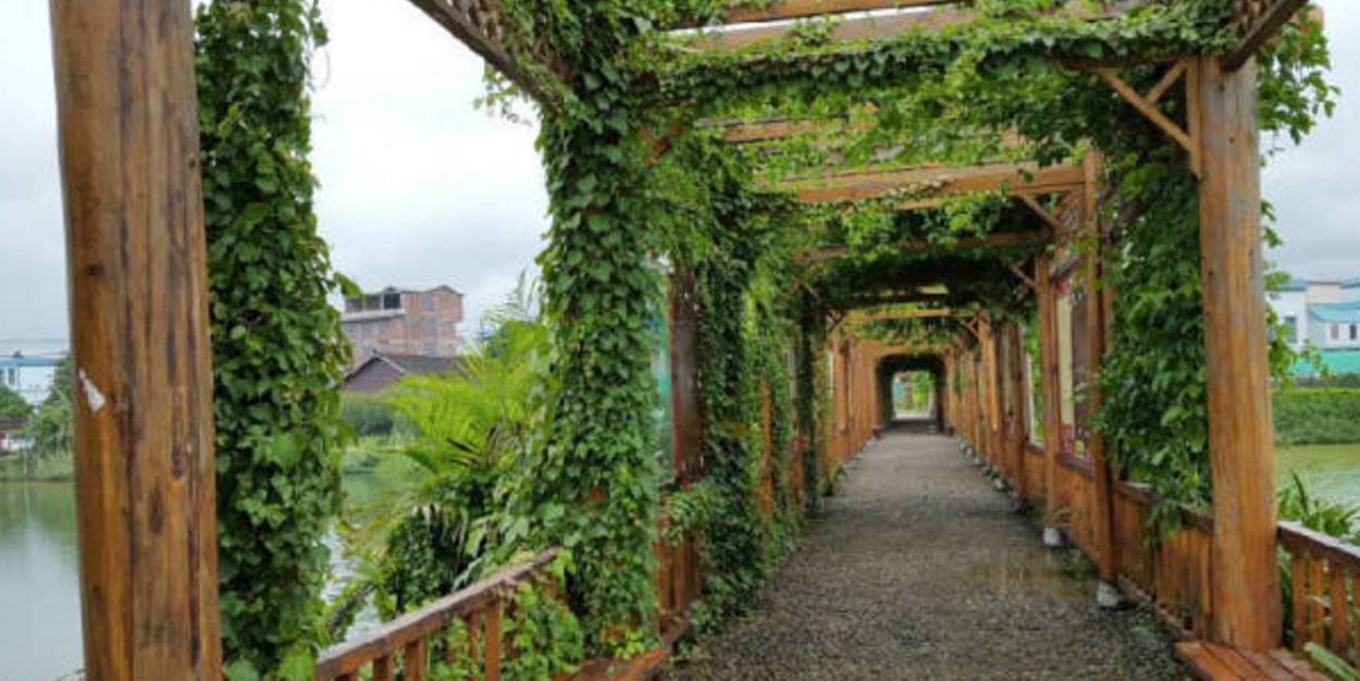 南宁农家乐推荐周边特色农家乐,南宁良庆区哪里有好的农家乐