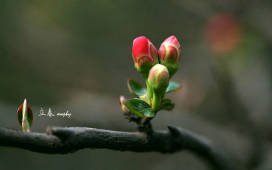 2月3日立春,百年一遇!可这只是神奇鸡年的开始……