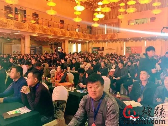 初闻沈念,初闻林夕