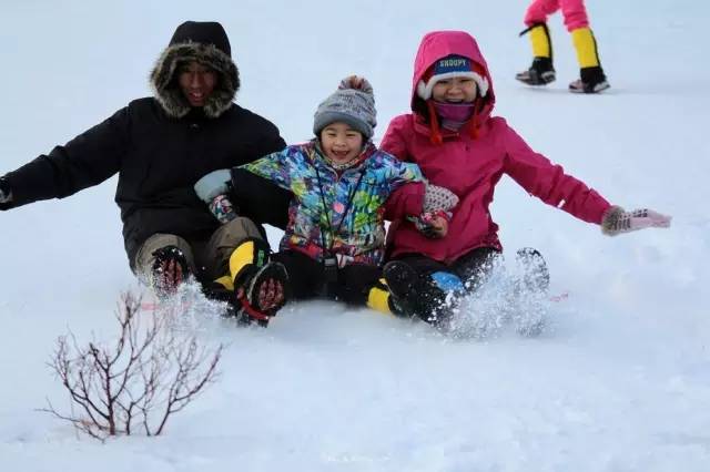 哈尔滨冬天免费玩雪的地方,哈尔滨冰雪旅游春节