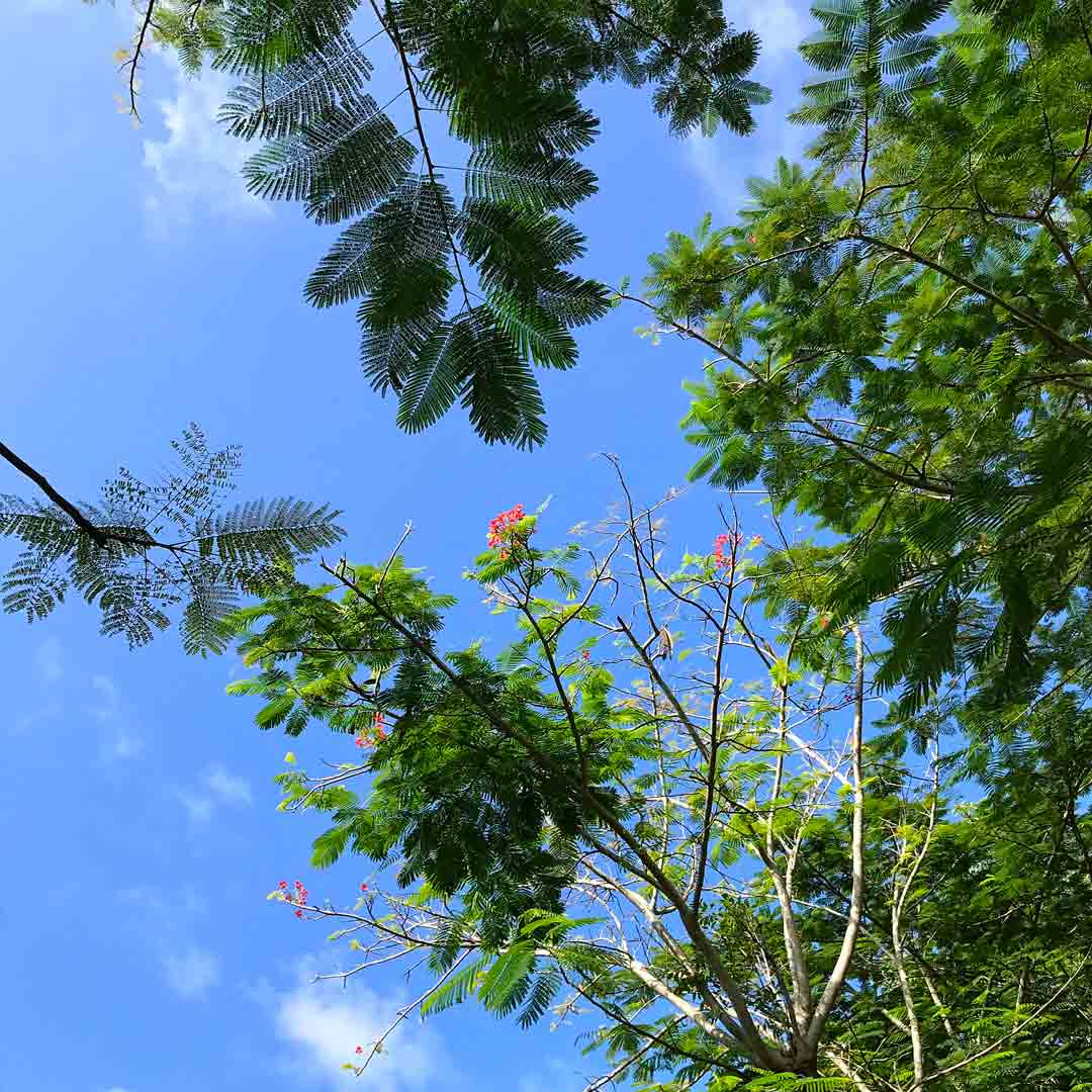 东北旅行必备物品清单,自驾旅行必备物品清单