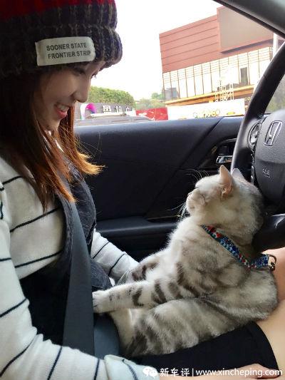 唇齿留香味蕾上的年味,年味是辣的还是甜的