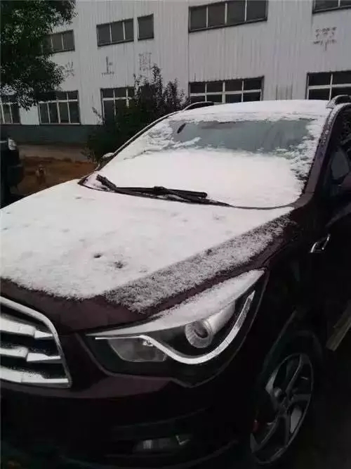 东莞进入“鸡冻”模式！医生说洗澡洗着去医院的人就特别多……