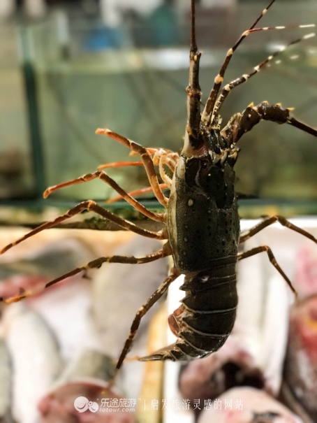 美奈的天气,美奈天气预报