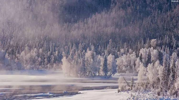 最新喀纳斯禾木视频,新疆喀纳斯禾木冬天视频
