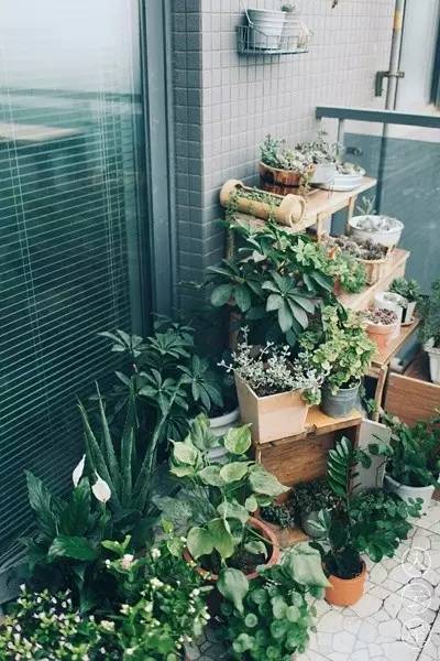 无底线提升千元出租屋品味，看90后美少年怎样活出无数人向往的样子……