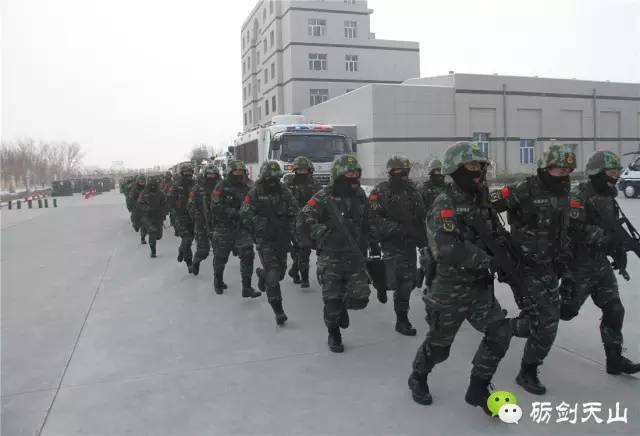 丰富警营文化有哪些活动,警营文化活动实施方案