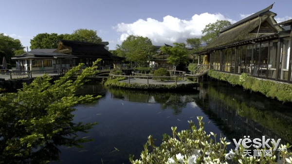 浼侀箙鐩掑瓙q1璇勬祴,楣呭巶浼侀箙鐩茬洅