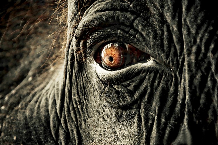 西双版纳3小时可以去哪,西双版纳五小时