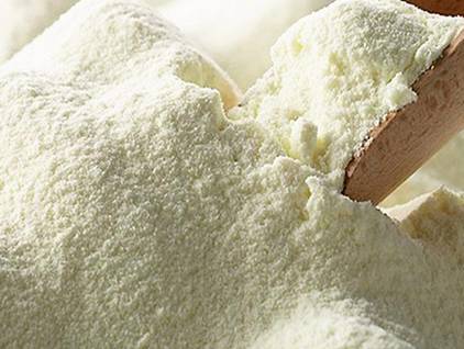 荷兰本土美素，如何辨真假？