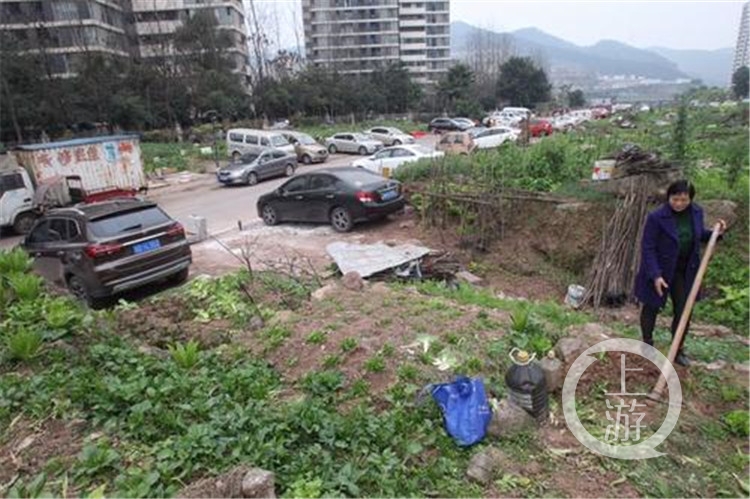 买100多个私人停车位违法吗,200个车位被卖起诉业主